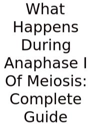 What Happens During Anaphase I Of Meiosis: Complete Guide