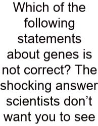 Which Of The Following Statements About Genes Is Not Correct? The Shocking Answer Scientists Don’t Want You To See